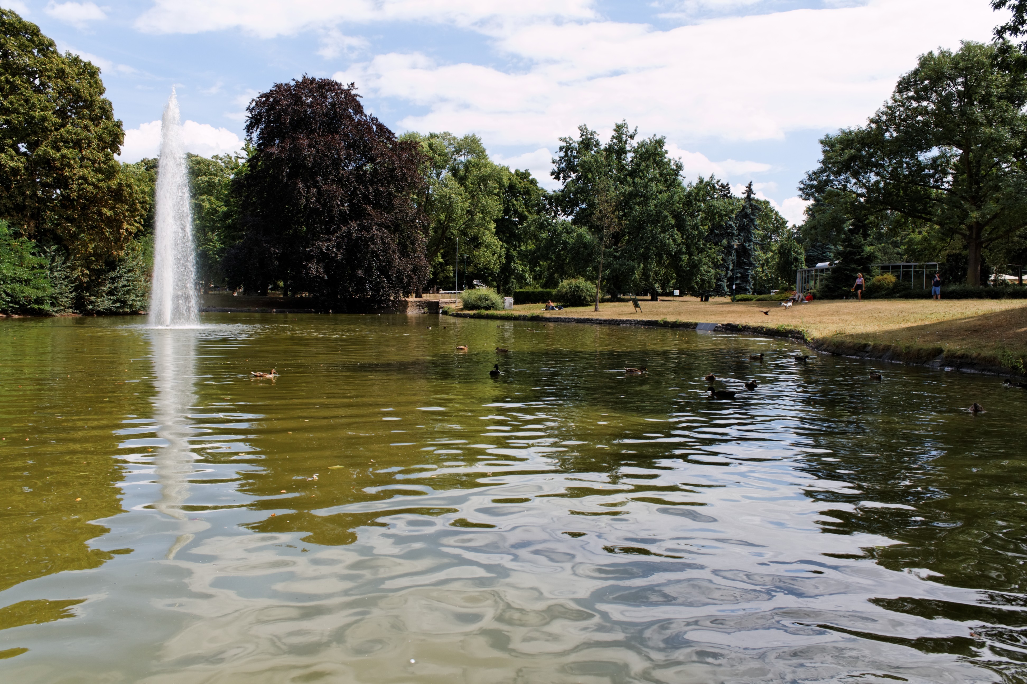 https://de.wikipedia.org/wiki/Datei:Teich_im_Herrngarten_(Darmstadt).jpg